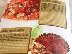 -新加坡珍宝海鲜JUMBO Seafood(西安skp店)