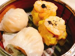 -糖朝(尖沙咀店)