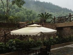 -看见远方·莫干遥远的山民宿