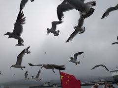 -海驴岛(荣成市)