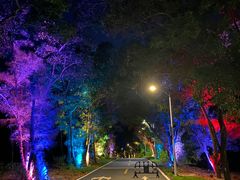 -西涌国际滨海旅游区