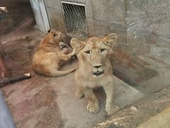 -西安秦岭野生动物园