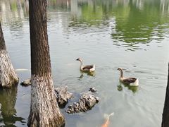 -东莞市可园博物馆