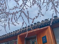 -春风习习