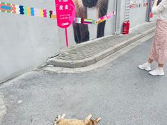 -方浜中路45弄小区