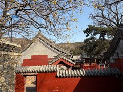 -泰山风景名胜区-普照寺