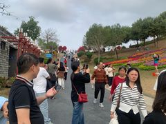 -东莞植物园