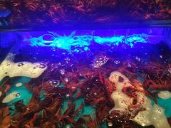 -SEA西雅图海鲜自助餐厅(海乐世界店)
