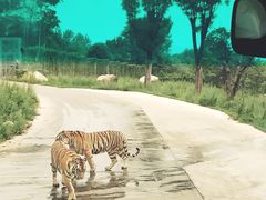 -西安秦岭野生动物园