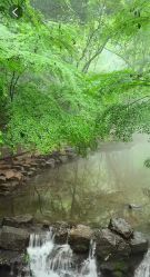 -Cindy Jewelry·钻戒·彩色宝石