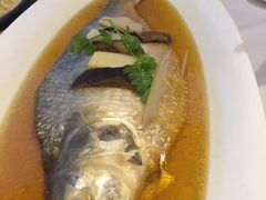 -上海会馆(香港名都店)