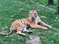 -北京野生动物园