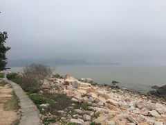 -野狸岛