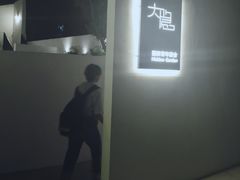 -大隐国际青年旅舍(上海陆家嘴东方明珠店)