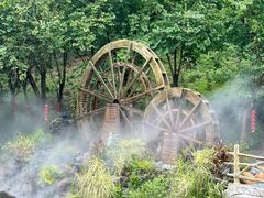 -广州白江湖森林公园