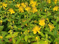 -狼山风景名胜区