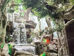 -多彩贵州城极地海洋世界