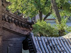 -白云观