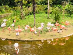 -杭州野生动物世界