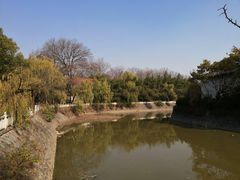 -开福禅寺