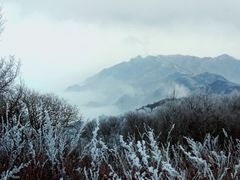 -驼梁风景区