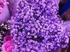 -花鸟鱼虫鲜花绿植市场(玉泉路店)