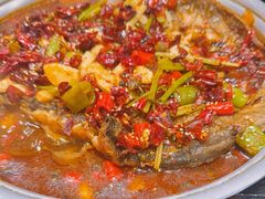 -宝记烧烤·碳锅羊肉·羊蝎子火锅·夜食社(文体路创始店)