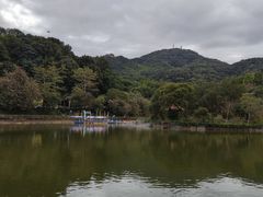 -广州市帽峰山景区