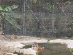 -深圳野生动物园