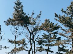 -威海国际海水浴场旅游区