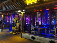 -周庄红庭演艺酒吧