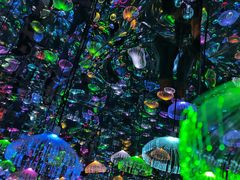 -上海梵高星空艺术馆(南京路旗舰店)