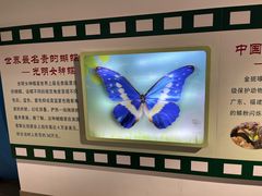 -上海昆虫博物馆