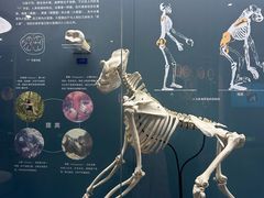 -国家自然博物馆