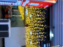 -驻海渔市(置信店)