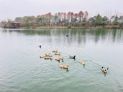 -上海怡沁园度假酒店