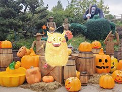 景点-上海欢乐谷