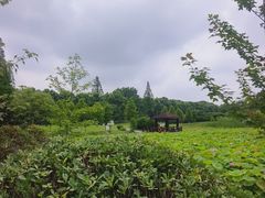 -宜兴龙背山森林公园