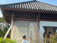 -广西壮族自治区药用植物园