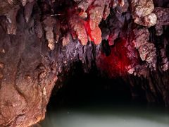 -怀托摩萤火虫洞