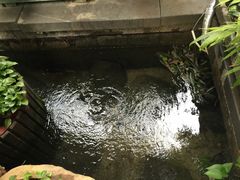 -泉乐坊步行街(烟酒特产平价超市店)