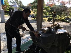 -水前寺成趣园