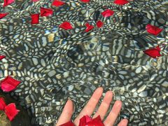 -厦门日月谷温泉渡假村