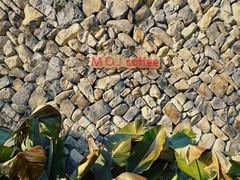 -MOJ coffee(瓯海泽雅水碓坑店)