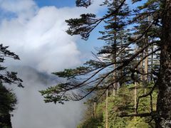 -瓦屋山景区