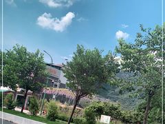 -竹语饭香·原生态农庄·烧鸡·竹筒饭·河鲜(森林海白水寨店)
