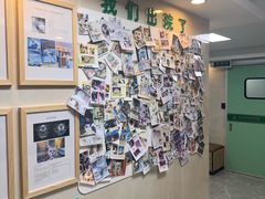 -半岛宠物医院24小时·内窥镜·牙科·碎石中心(府城大道店)