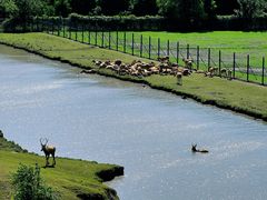 -溱湖国家湿地公园