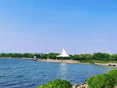 -丁香湖公园