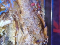 -蛙来哒(金沙洲万达店)